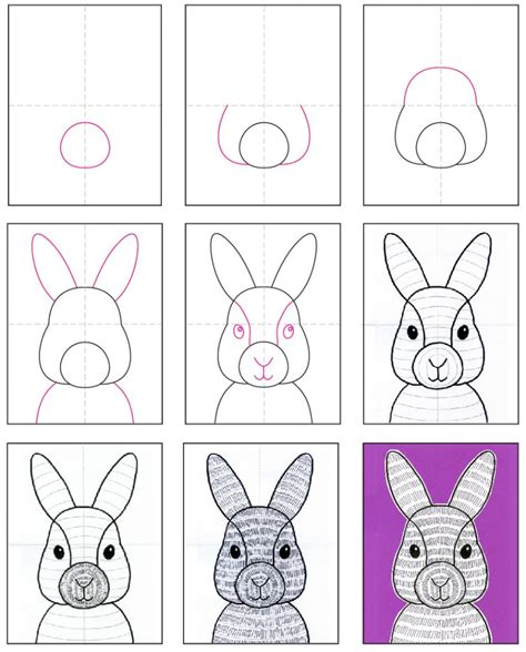 how do you draw a rabbit step by step|rabbit drawing for beginners.